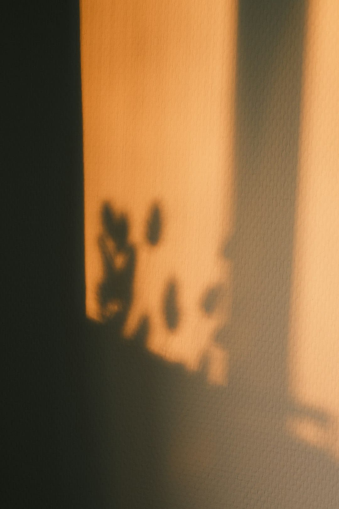 http://n.sinaimg.cn/news/transform/w600h400/20180307/0B6T-fxipenp2078463.jpg?zdy